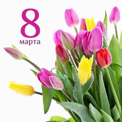 Открытка А5 «С 8 Марта», нежные тюльпаны, отделка Уф-лак — Офисная техника