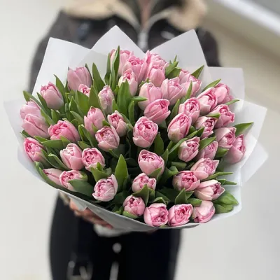 Цветы: Тюльпаны на 8 марта Нидерланды.Упаковка бесплатно купить в  интернет-магазине Ярмарка Мастеров по цене 100 ₽ – Q3870BY | Цветы, Москва  - доставка по России