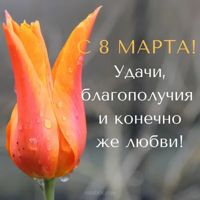 Солнце, улыбки, цветы… 8 Марта :: Петрозаводский государственный университет