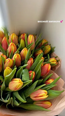 Аналитики спрогнозировали стоимость букета цветов к 8 Марта — РБК