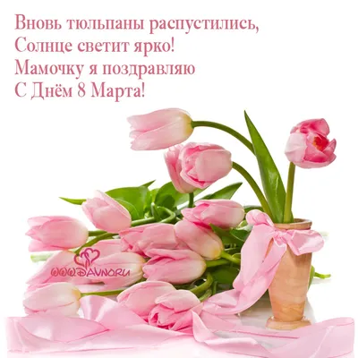 Фото Международный женский день Тюльпаны цветок Много Праздники