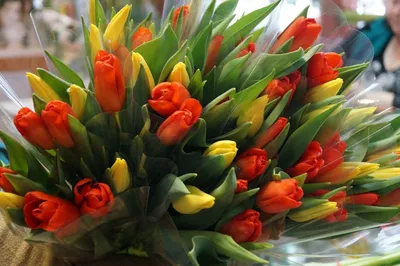Букет на 8 марта из 67 тюльпанов за 8740 ₽ с доставкой по Москве
