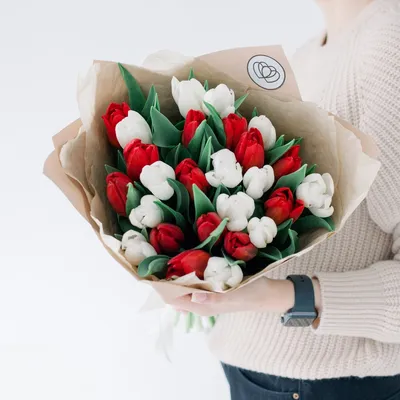 Красиво разложены цветы. Набор тюльпанов на белом фоне. Открытка на 8 марта,  день матери и любой праздник. Stock Photo | Adobe Stock