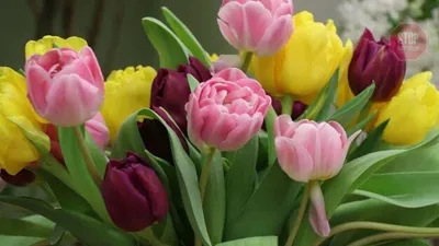 🌼 Доставка цветов на 8 Марта | 💵 Оформить предзаказ | Лучшие цены и выбор  в городе | «Букетик Харьков»