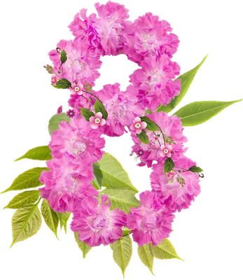 украшение женского дня 8 марта PNG , типографский, весна, поздравление PNG  рисунок для бесплатной загрузки