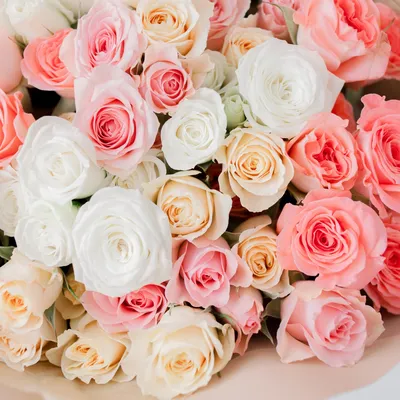 Розы и пожелания 8 марта | Розы, Белые розы, Открытки