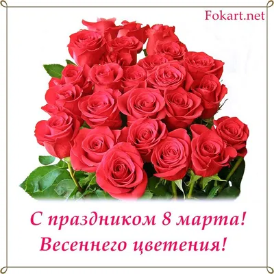 Красная роза - Скачайте на Davno.ru