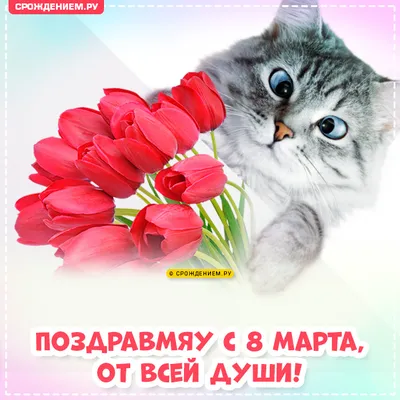 Купить Открытка-мини «8 марта», коты, 8 × 6 см в Новосибирске, цена,  недорого - интернет магазин Подарок Плюс
