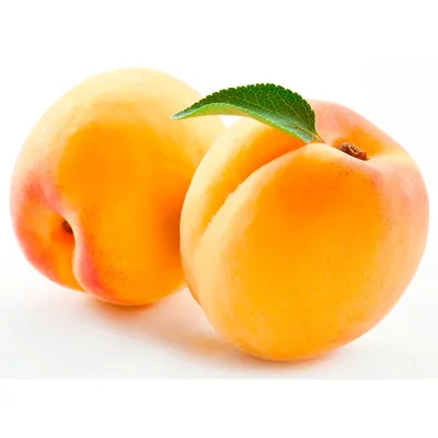 Вот так фрукт! Секреты посадки и выращивания абрикоса | Интернет-магазин  садовых растений