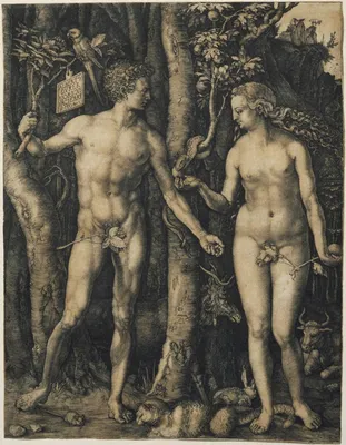 10 Human Qualities Adam and Eve Had Based on the Bible