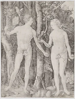Adam and Eva in Eden Garden Stock Vector - Illustration of body, design:  100611017