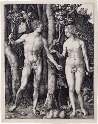 File:Albrecht Dürer, Adam and Eve, 1504, Engraving.jpg - Wikipedia