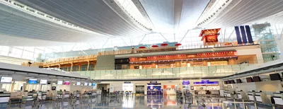 Новый аэропорт Гоа обещает сделать отдых в Индии дешевле | Ассоциация  Туроператоров