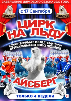 https://www.circus-astrahan.ru/