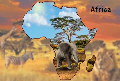 Климат африки