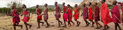 Отдых и сафари в Танзании. Что нужно знать, отправляя туристов в Африку |  Ассоциация Туроператоров