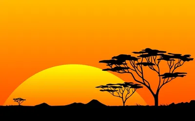 Дикая Природа Африка Танзания - Бесплатное фото на Pixabay - Pixabay