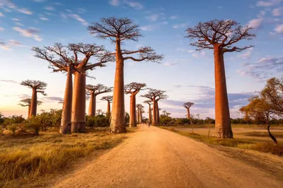 Туризм в Африке: опасно или нет | 360°