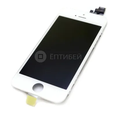 Купить Смартфон Apple iPhone 5 16GB белый MD298 в Москве