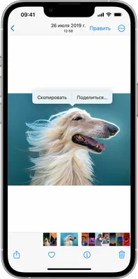 Как сделать обои со смайликами, стикерами и эмодзи на iPhone с iOS 16 |  AppleInsider.ru