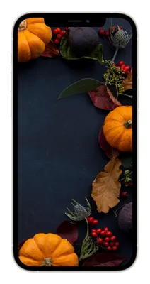 10 ярких обоев iPhone с осенью
