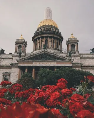 Saint Petersburg iPhone Wallpapers
