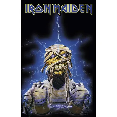 Iron Maiden Wallpaper | Iron maiden posters, Heavy metal art, Iron maiden  eddie
