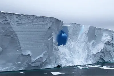 Айсберг размером с два Санкт-Петербурга вынесло в Южный океан -  Информационный портал Yk24/Як24
