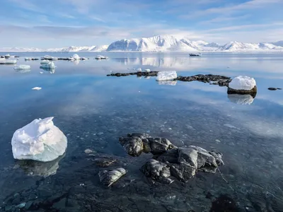 Самый крупный в мире айсберг может исчезнуть — Медиапалуба