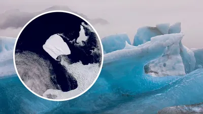 Айсберг-рекордсмен: новый ледяной остров вышел в море Уэдделла