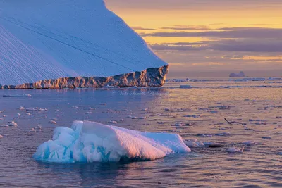 Самый крупный айсберг на планете может прекратить своё существование |  Радио 1