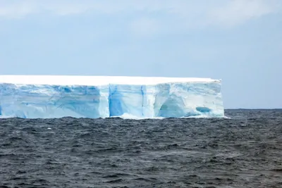 Крупнейший в мире айсберг пришел в движение впервые за последние 30 лет -  Turist
