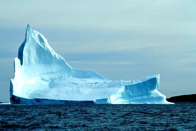 AP: айсберг втрое больше Нью-Йорка сорвался с мели спустя 37 лет | Природа  | Общество | Аргументы и Факты