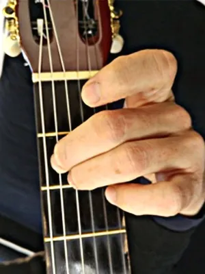 Значок аккорды на гитаре C. Основной вектор хорд гитары изоляции на белом  Иллюстрация вектора - иллюстрации насчитывающей нот, музыкант: 193223593