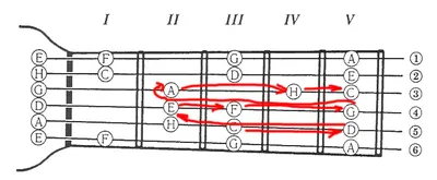 Схема аккордов для занятий на акустической гитаре схема аппликатуры аккордов  L - купить с доставкой по выгодным ценам в интернет-магазине OZON  (1319019922)