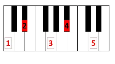The 4 Basic Piano Chords