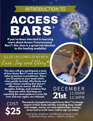 Access Bars® | Meta Excellence™