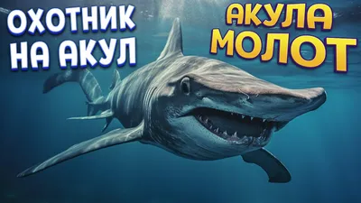 Фигурки акул, легкие портативные фигурки животных, забавные модели моделей  животных для раннего развития, игрушка с орнаментом акулы | AliExpress