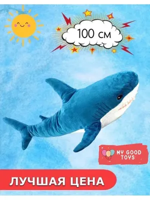 Pin by Lowo on Ikea shark / BLÅHAJ | Cute shark, Shark plush, Shark meme