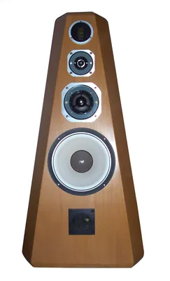 Акустическая система NRS VS-212PT - Audio-Pro - Магазин музыкальных  инструментов
