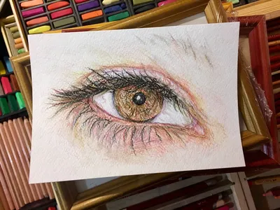 Рисунки цветными карандашами для срисовки (72 фото)