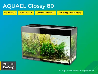 Аквариум Рыбки 3D Живые Обои - Загрузить APK для Android | Aptoide