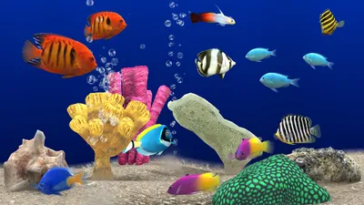 AngelFish Aquarium - Virtual Fish Tank — Приложения Майкрософт