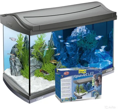 Экологический Аквариум С Фильтрующим Насосом - купить с доставкой по  выгодным ценам в интернет-магазине OZON (626680616)