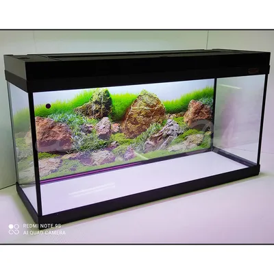 Аквариум 260 (310) литров | Официальный сайт производителя аквариумов  ССБ-аква