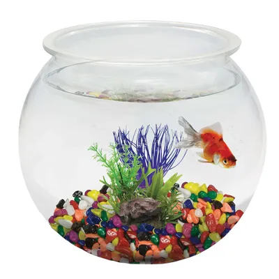 Мини аквариум для рыб Aquatop многофункциональный - купить с доставкой по  выгодным ценам в интернет-магазине OZON (358774079)
