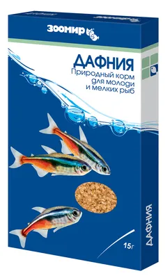 Сколько живут аквариумные рыбки разных пород? Таблица влияющих факторов со  способами, как увеличить срок жизни рыб в аквариуме