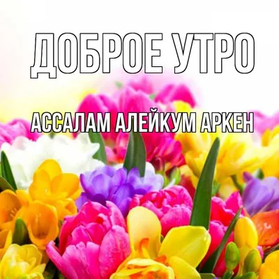 ассалам алейкум 🥰 | TikTok