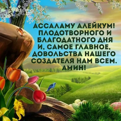 АССАЛАМУ АЛЕЙКУМ! Пророк (с.а.в) сказал: «Поистине, среди верующих самая  совершенная вера у того, кто самый благонравный и самый добрый… | Instagram