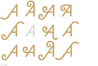 Правда ли, что Z, O и V — буквы праславянского происхождения? -  Проверено.Медиа